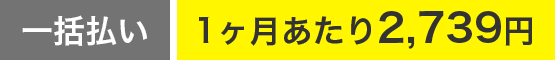 一括払い。1ヶ月あたり2,739円