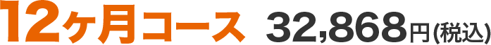 12ヶ月コース32,868円(税込)